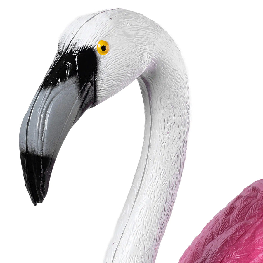Roze flamingo op het terras geplaatst
