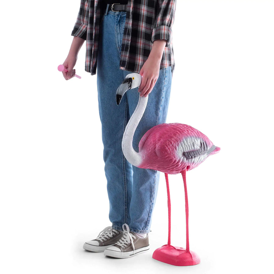 Detail van kop en snavel van de roze flamingo