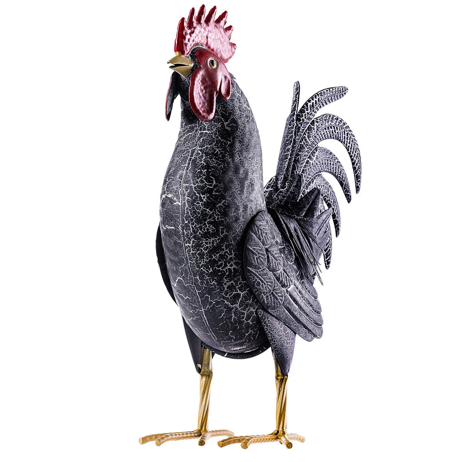 Zwarte tuinhaan van 37 cm van opzij