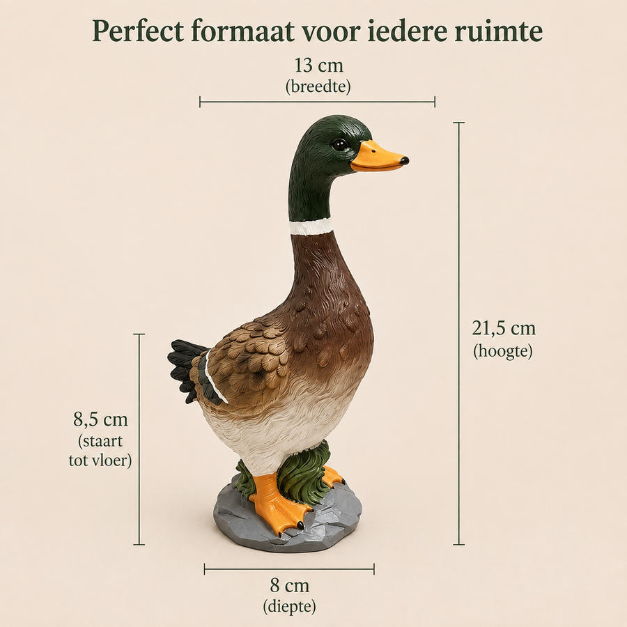 Afmetingen tuinbeeld wilde eend: 21,5 cm hoog, 13 cm breed en 8 cm diep